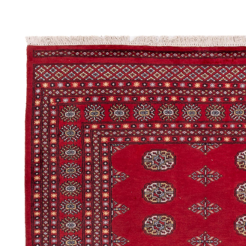 Bukhara Teppe 201x300cm - Orientalsk teppe