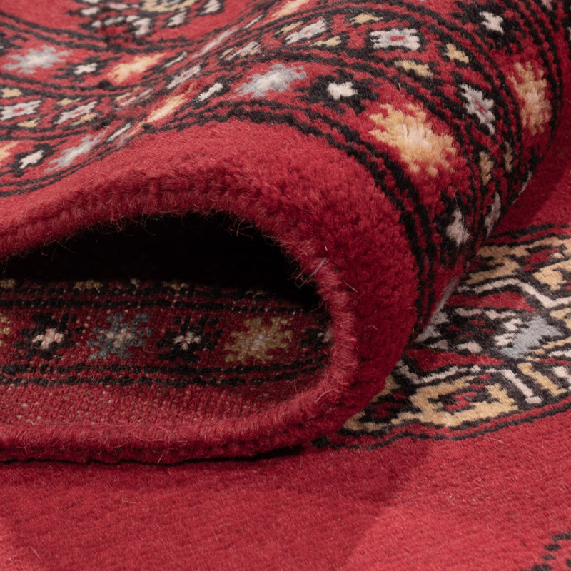 Bukhara Teppe 201x300cm - Orientalsk teppe