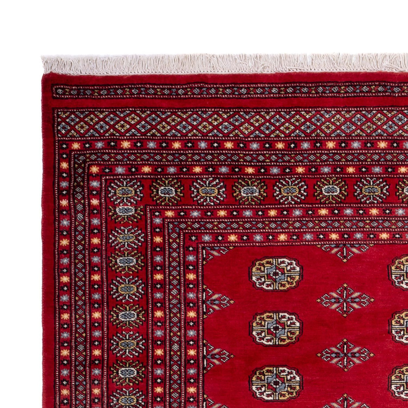 Bukhara Teppe 302x200cm - Orientalsk teppe