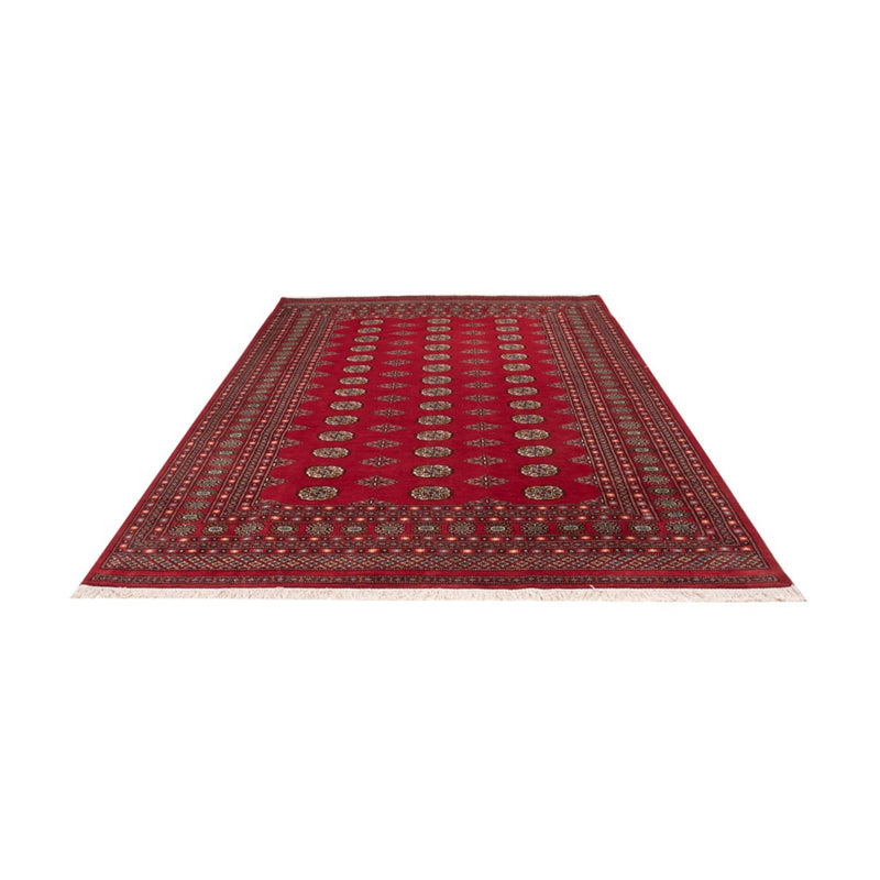 Bukhara Teppe 302x200cm - Orientalsk teppe