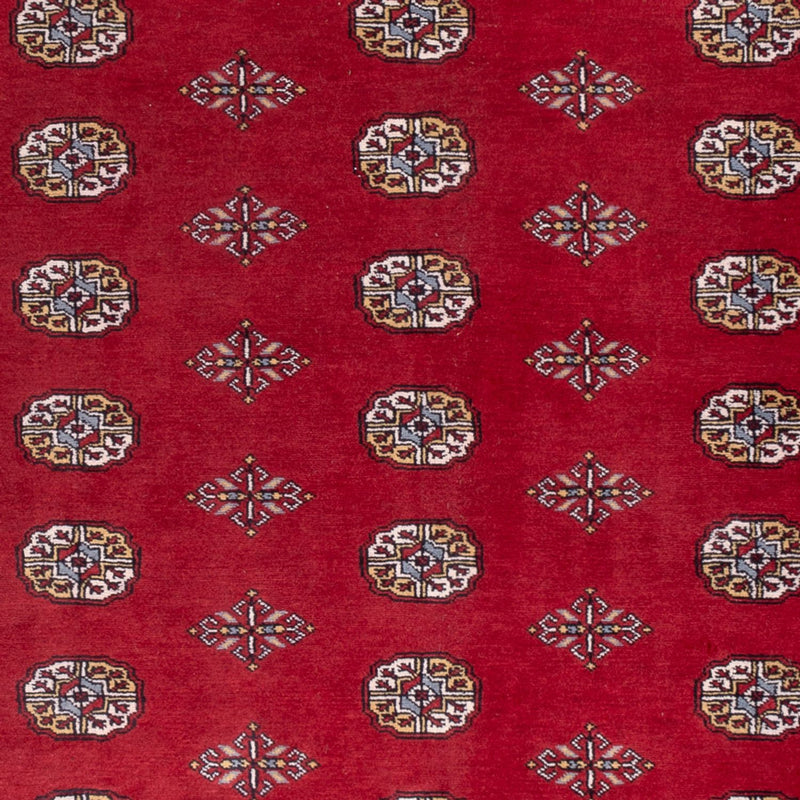 Bukhara Teppe 294x198cm - Orientalsk teppe
