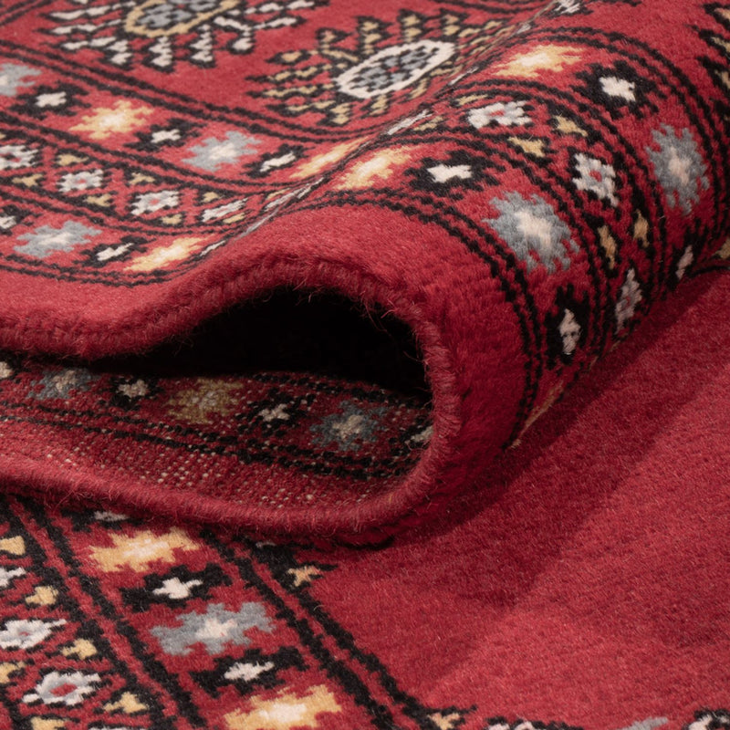 Bukhara Teppe 294x198cm - Orientalsk teppe