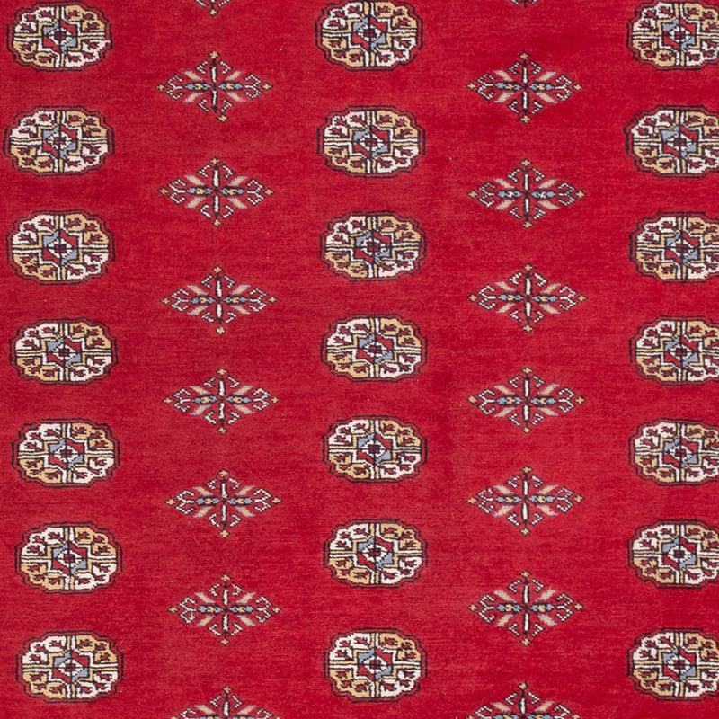 Bukhara Teppe 304x206cm - Orientalsk teppe