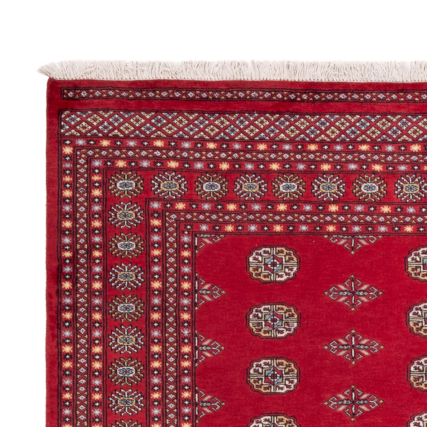 Bukhara Teppe 304x206cm - Orientalsk teppe