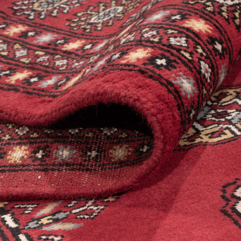 Bukhara Teppe 304x206cm - Orientalsk teppe