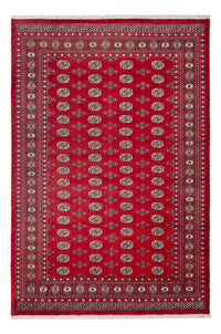 Bukhara Teppe 313x207cm - Orientalsk teppe – product image
