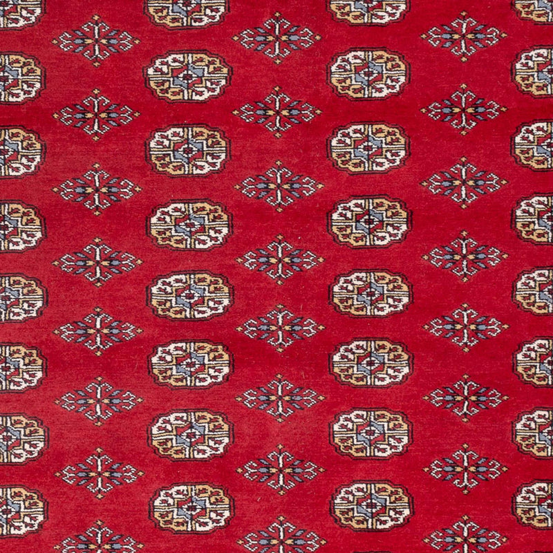 Bukhara Teppe 313x207cm - Orientalsk teppe