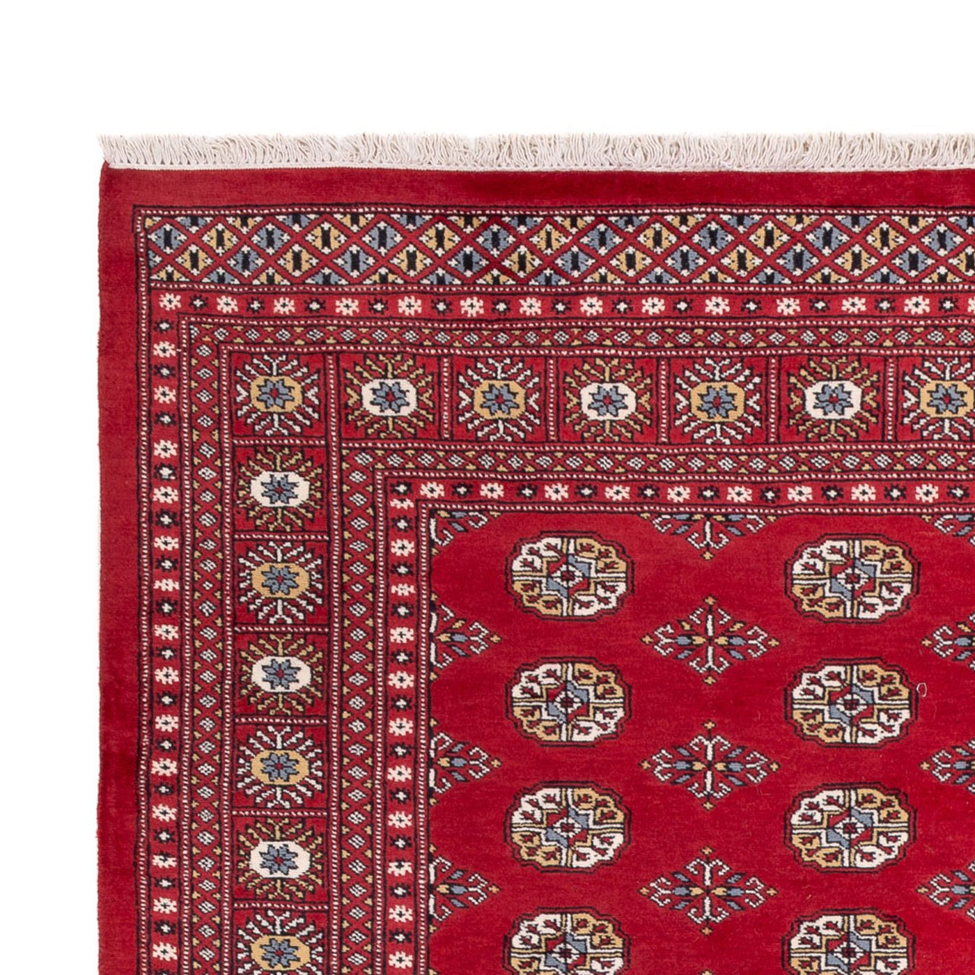 Bukhara Teppe 313x207cm - Orientalsk teppe