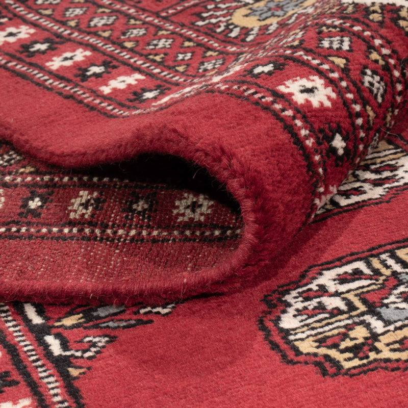 Bukhara Teppe 313x207cm - Orientalsk teppe