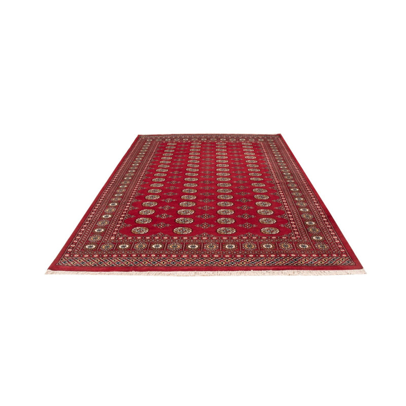 Bukhara Teppe 313x207cm - Orientalsk teppe