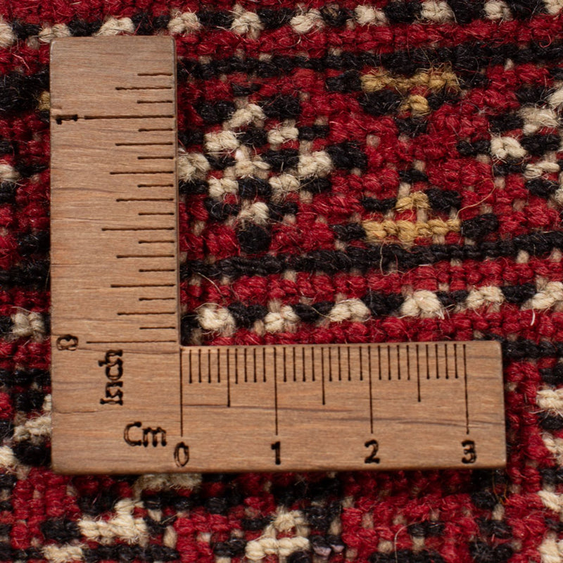 Bukhara Teppe 313x207cm - Orientalsk teppe