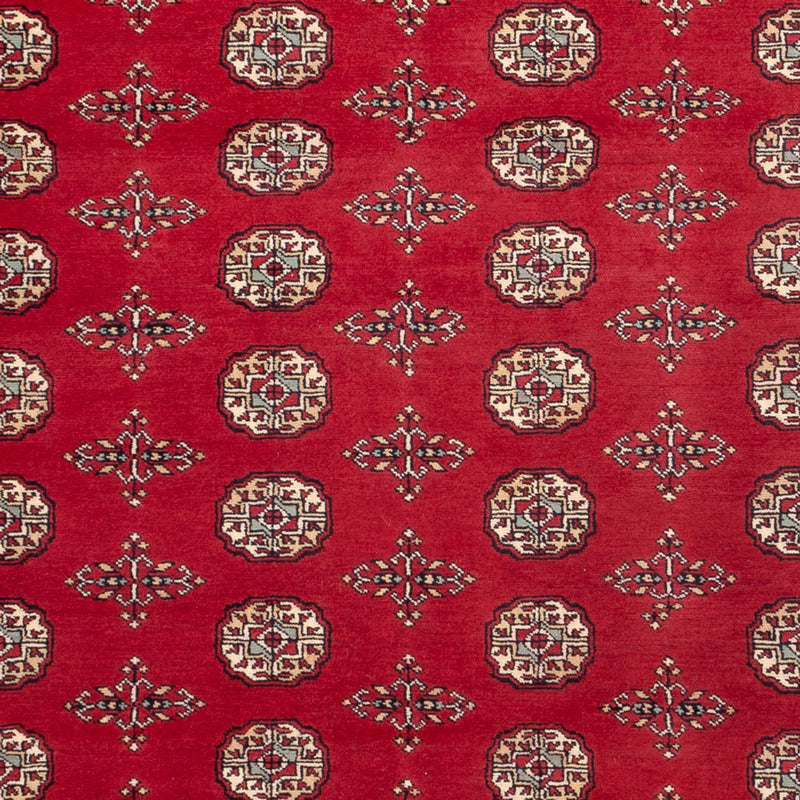 Bukhara Teppe 210x318cm - Orientalsk teppe