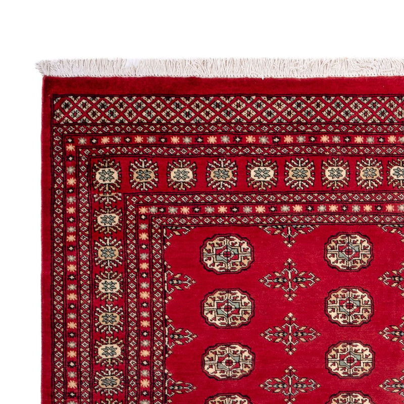 Bukhara Teppe 210x318cm - Orientalsk teppe