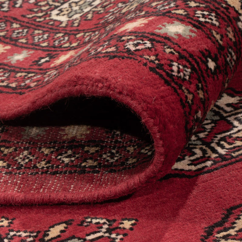 Bukhara Teppe 210x318cm - Orientalsk teppe