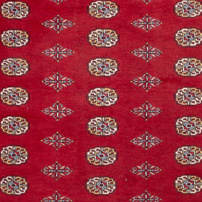 Bukhara Teppe 308x207cm - Orientalsk teppe
