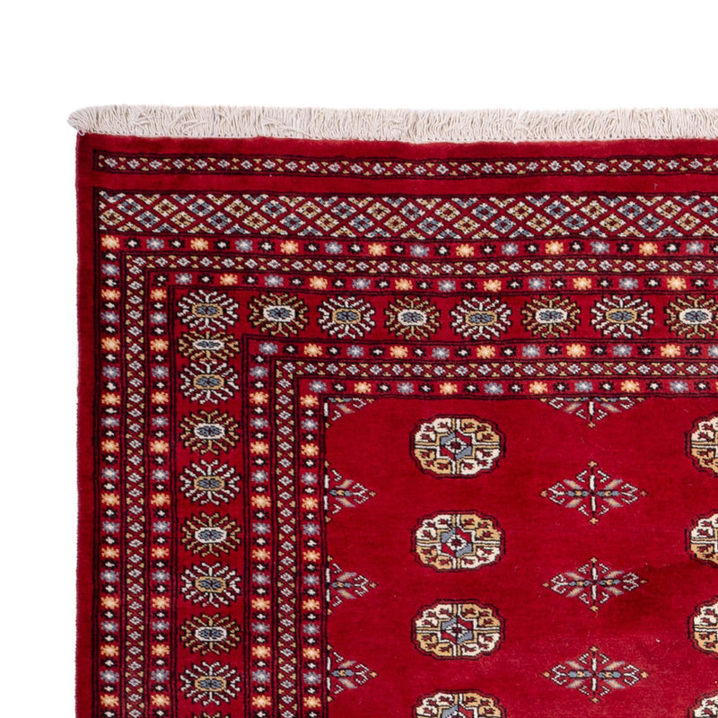 Bukhara Teppe 308x207cm - Orientalsk teppe
