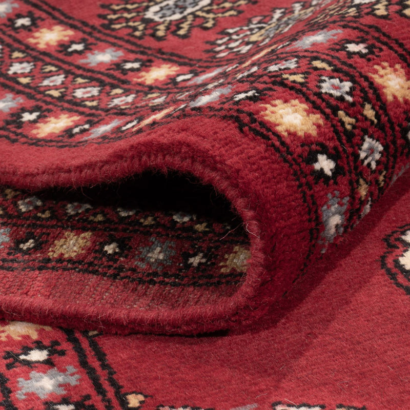 Bukhara Teppe 308x207cm - Orientalsk teppe