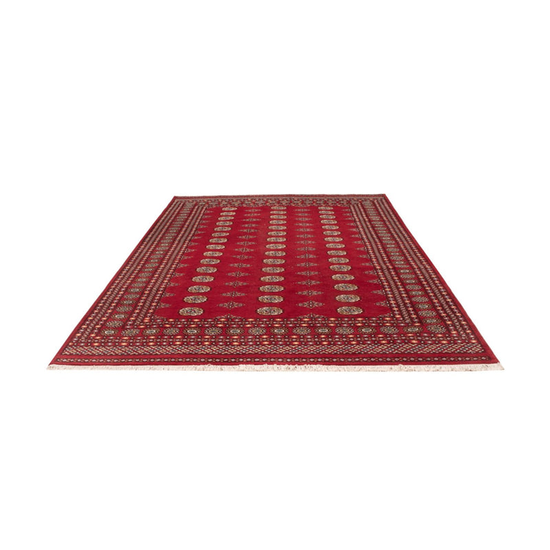 Bukhara Teppe 308x207cm - Orientalsk teppe