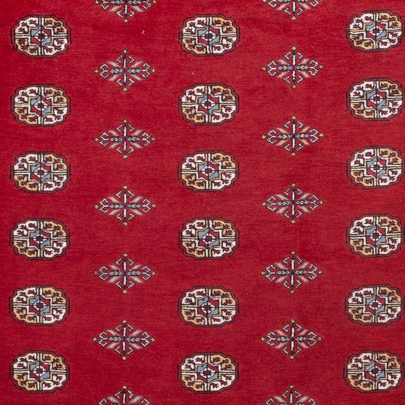 Bukhara Teppe 314x202cm - Orientalsk teppe