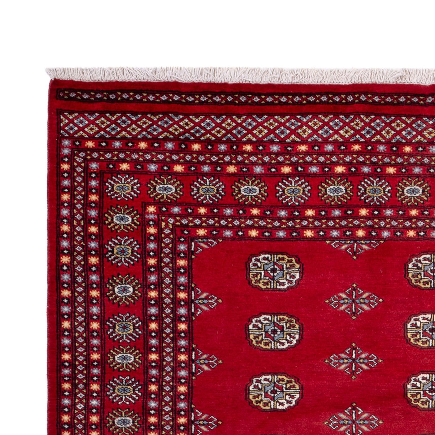 Bukhara Teppe 314x202cm - Orientalsk teppe