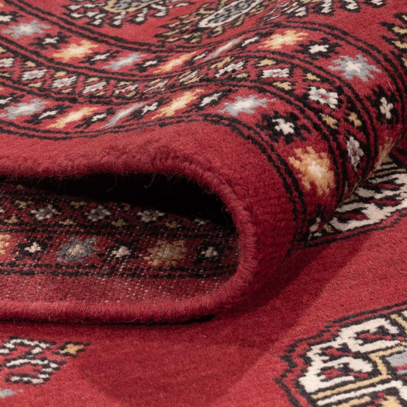Bukhara Teppe 314x202cm - Orientalsk teppe