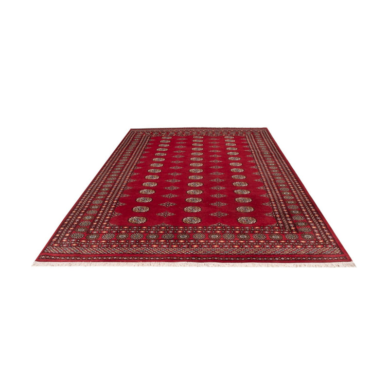 Bukhara Teppe 314x202cm - Orientalsk teppe