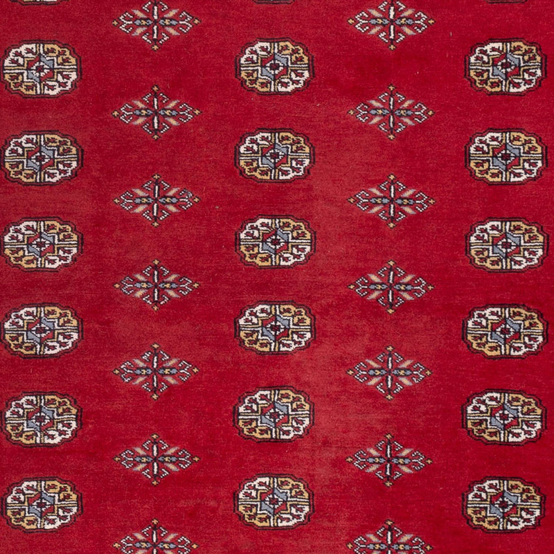 Bukhara Teppe 306x202cm - Orientalsk teppe