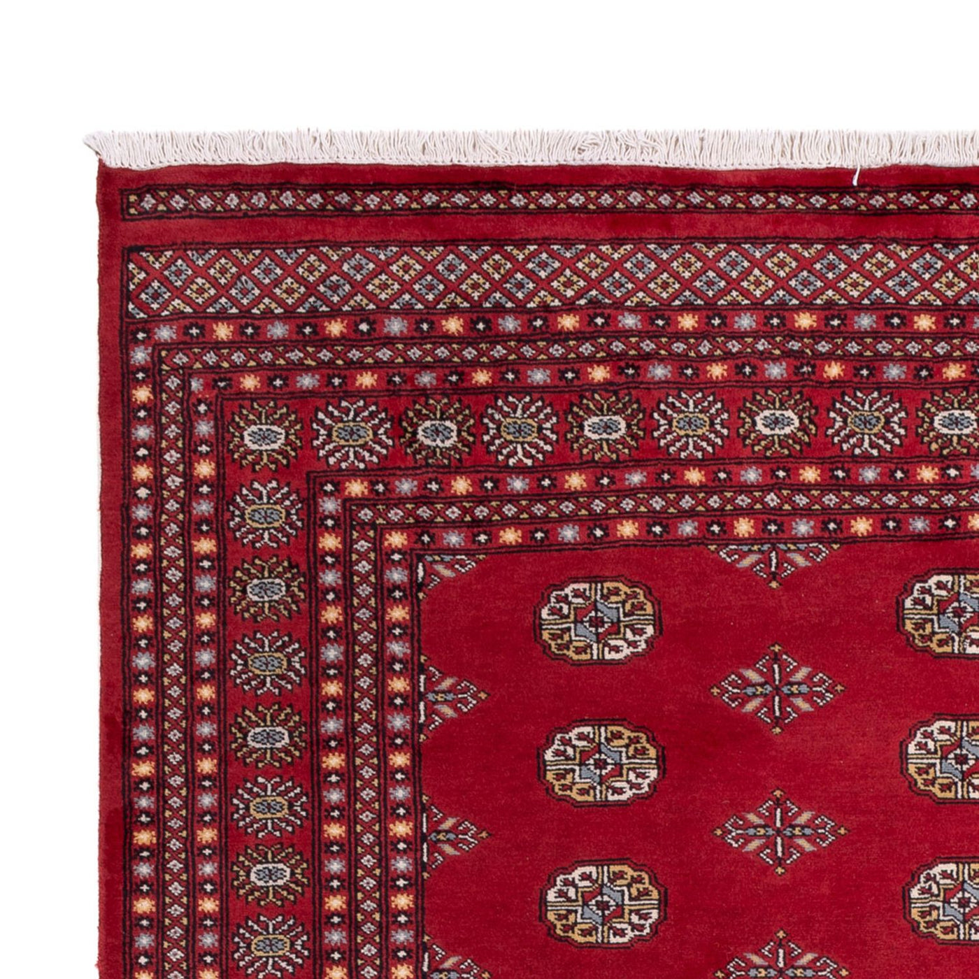 Bukhara Teppe 306x202cm - Orientalsk teppe