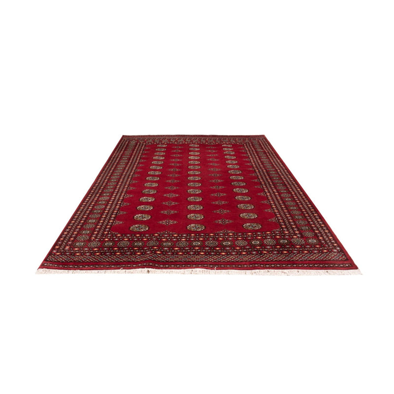 Bukhara Teppe 306x202cm - Orientalsk teppe