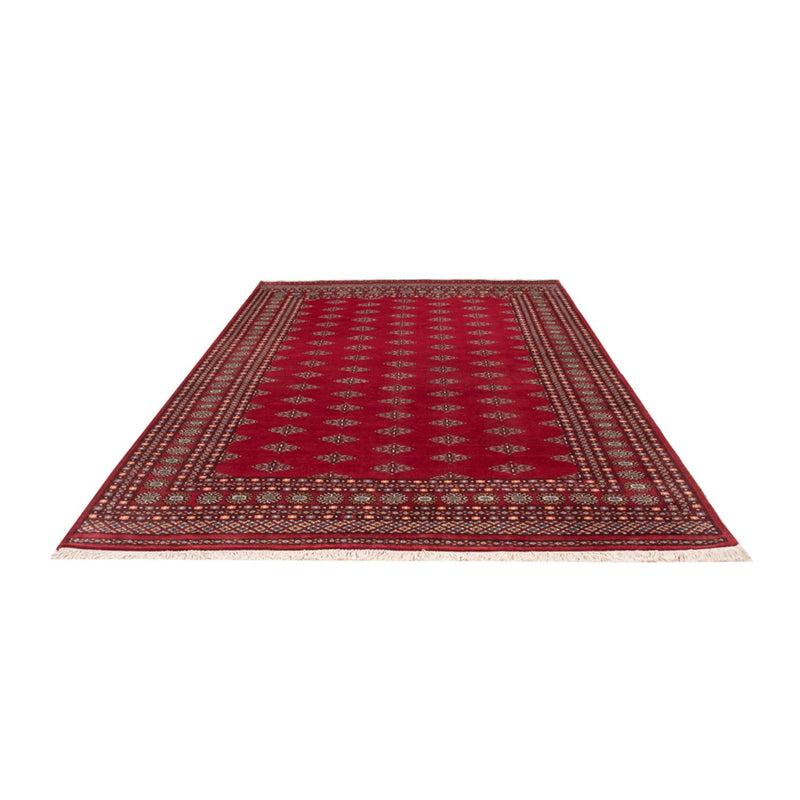 Bukhara Teppe 204x317cm - Orientalsk teppe