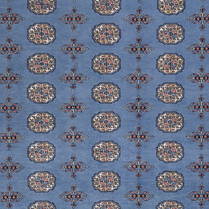 Afghansk teppe - Bukhara - 297 x 250 cm - blå