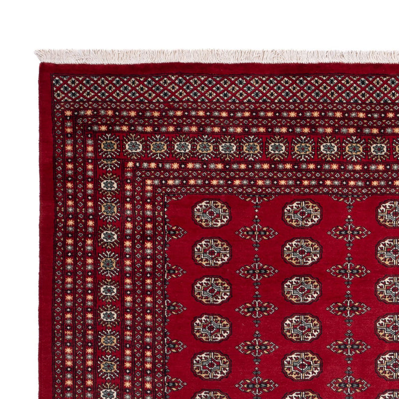 Bukhara Teppe 309x246cm - Orientalsk teppe