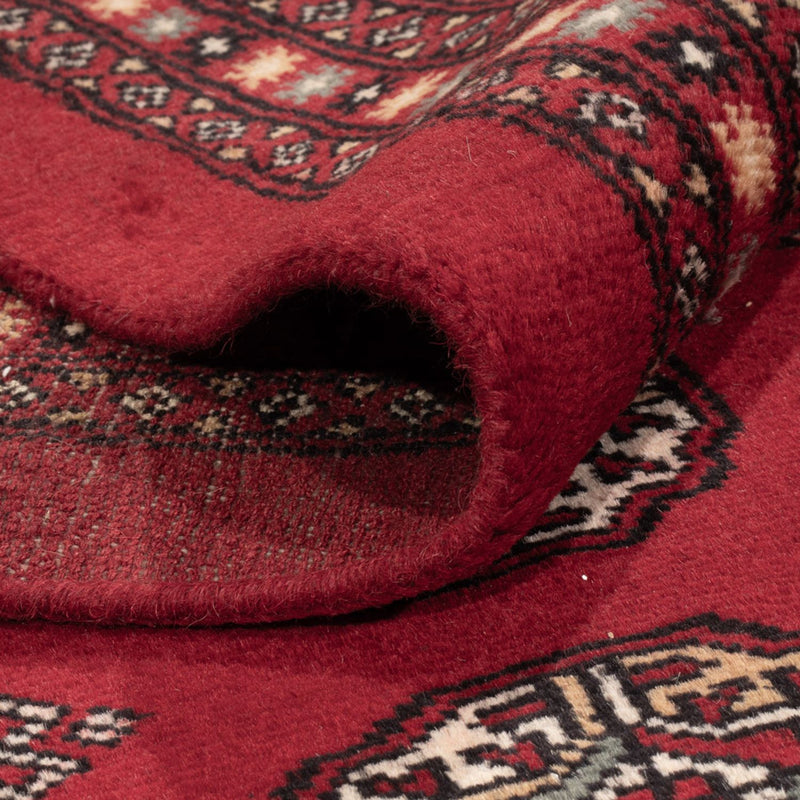Bukhara Teppe 309x246cm - Orientalsk teppe