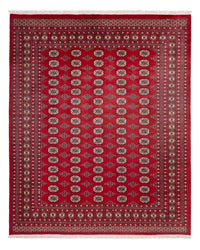 Bukhara Teppe 244x305cm - Orientalsk teppe – product image