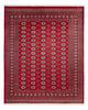Bukhara Teppe 244x305cm - Orientalsk teppe