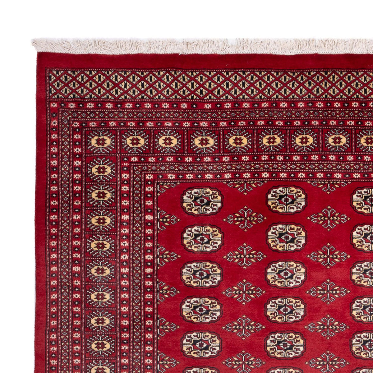 Bukhara Teppe 244x305cm - Orientalsk teppe