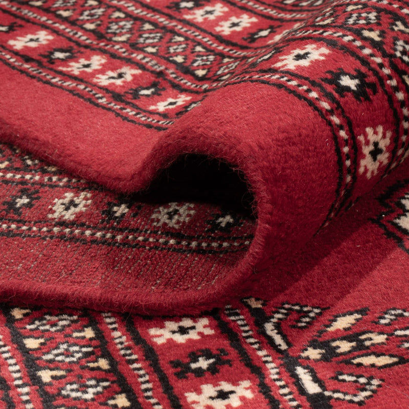 Bukhara Teppe 244x305cm - Orientalsk teppe