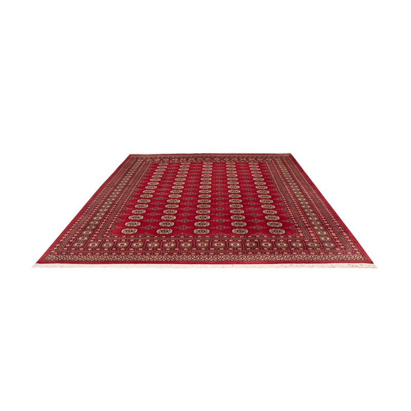 Bukhara Teppe 244x305cm - Orientalsk teppe
