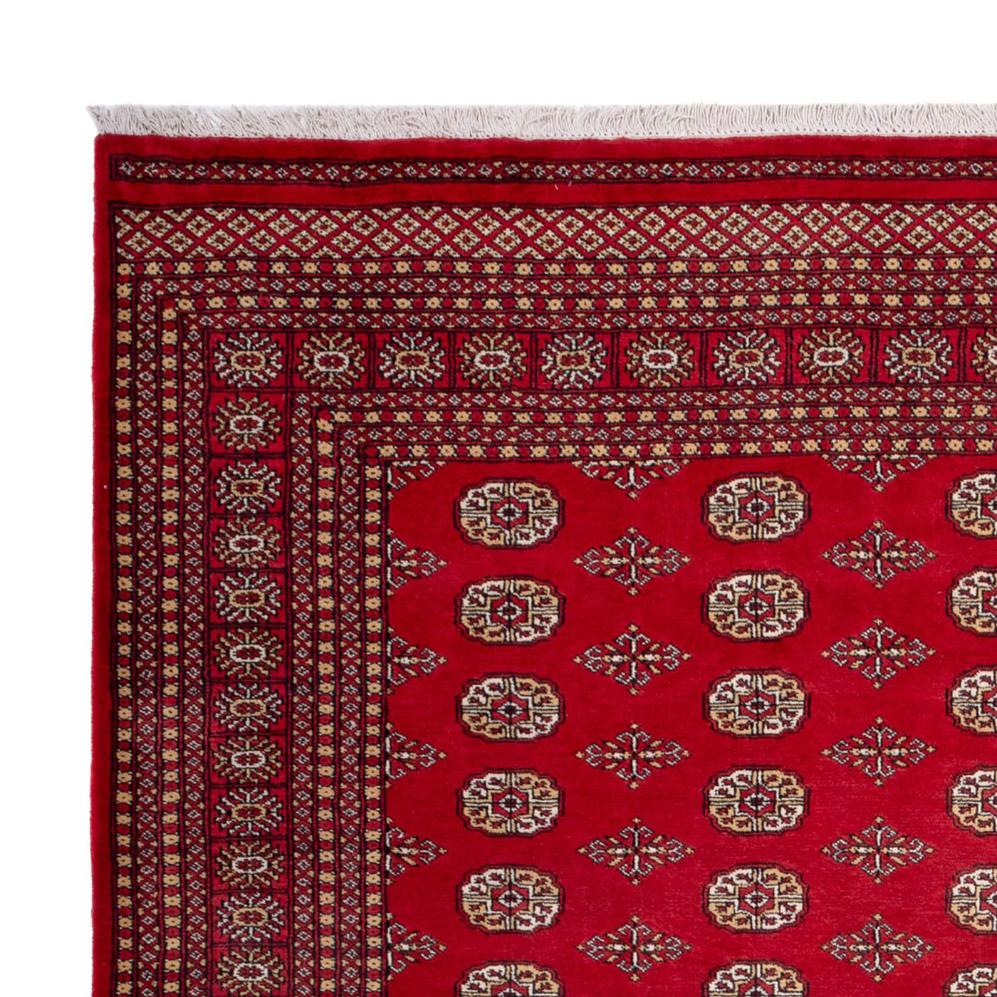 Bukhara Teppe 305x252cm - Orientalsk teppe