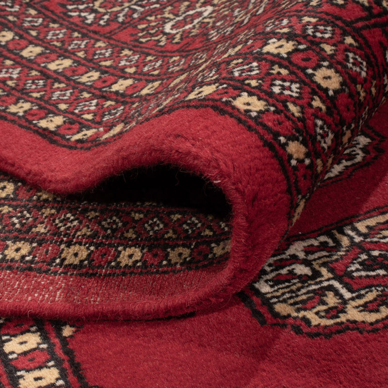 Bukhara Teppe 305x252cm - Orientalsk teppe