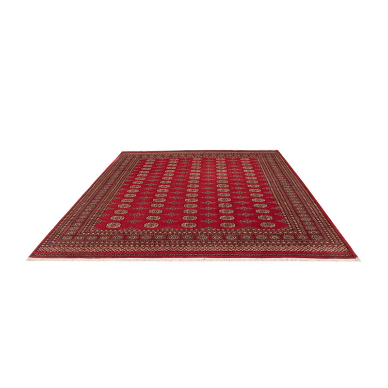 Bukhara Teppe 305x252cm - Orientalsk teppe