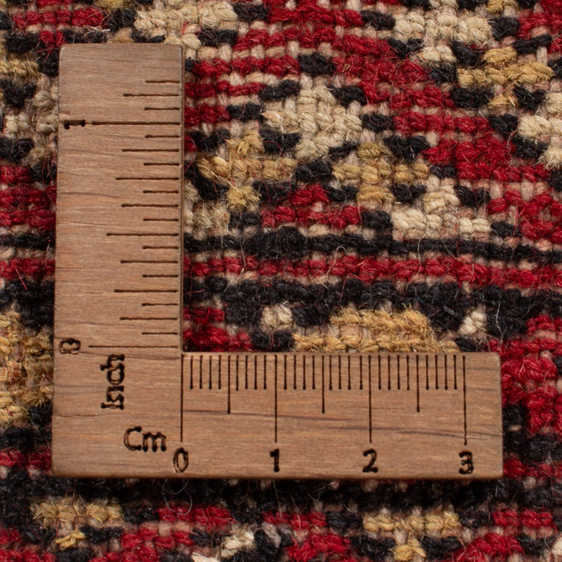 Bukhara Teppe 305x252cm - Orientalsk teppe