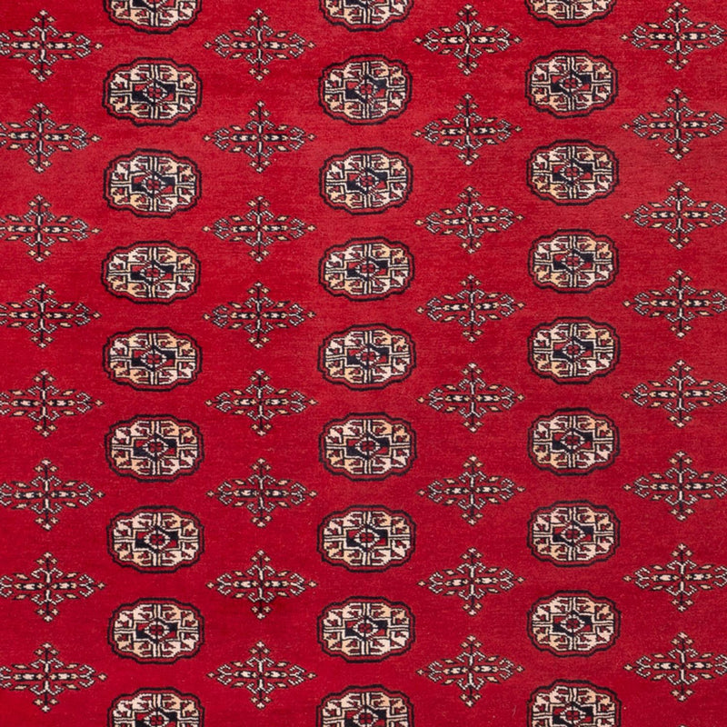 Bukhara Teppe 319x250cm - Orientalsk teppe