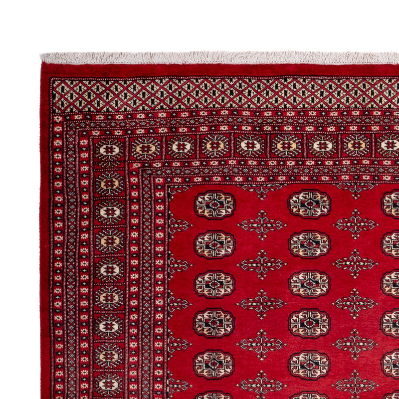 Bukhara Teppe 319x250cm - Orientalsk teppe