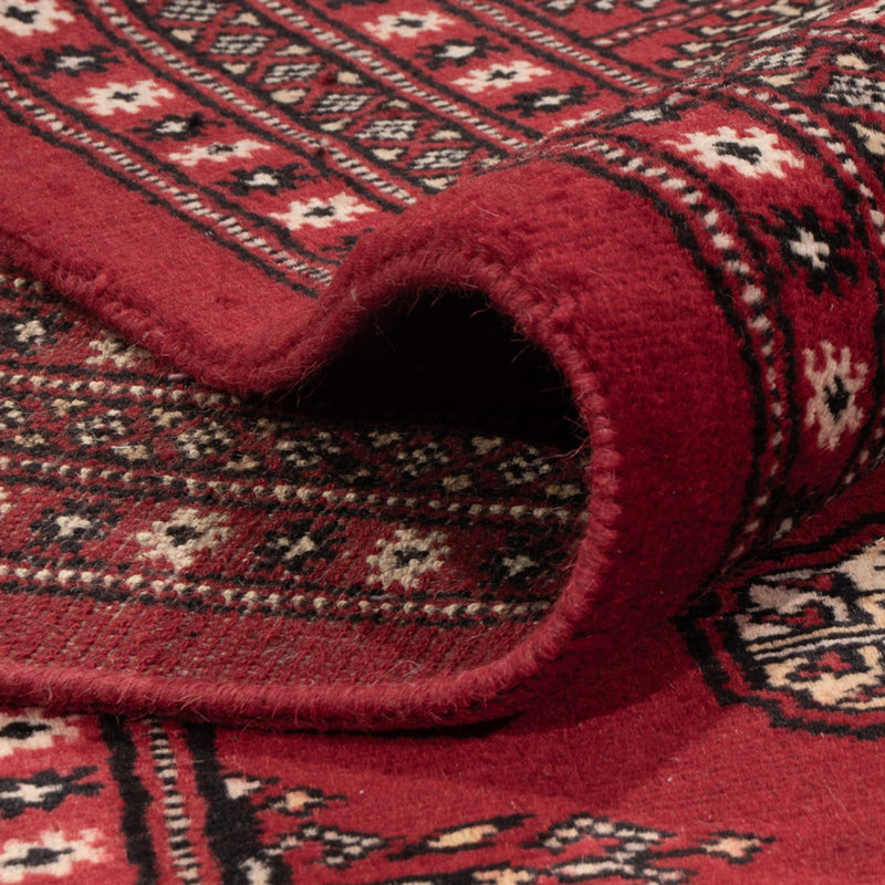 Bukhara Teppe 319x250cm - Orientalsk teppe