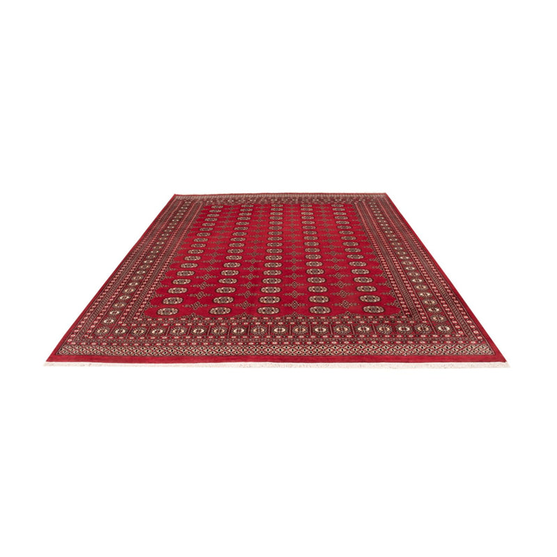 Bukhara Teppe 319x250cm - Orientalsk teppe