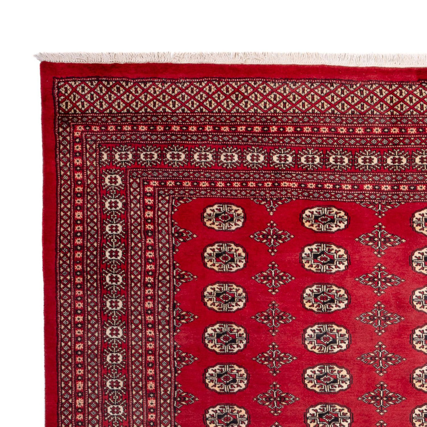 Bukhara Teppe 309x248cm - Orientalsk teppe
