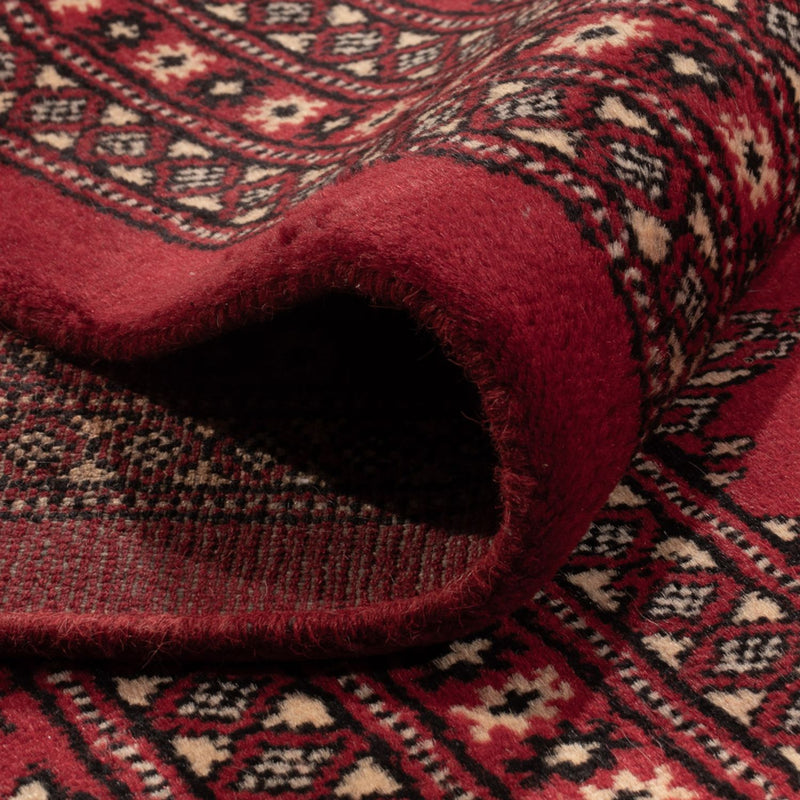 Bukhara Teppe 309x248cm - Orientalsk teppe