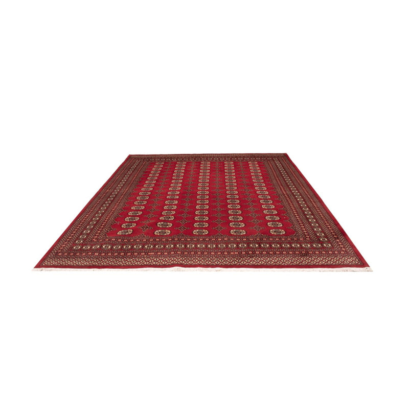 Bukhara Teppe 309x248cm - Orientalsk teppe