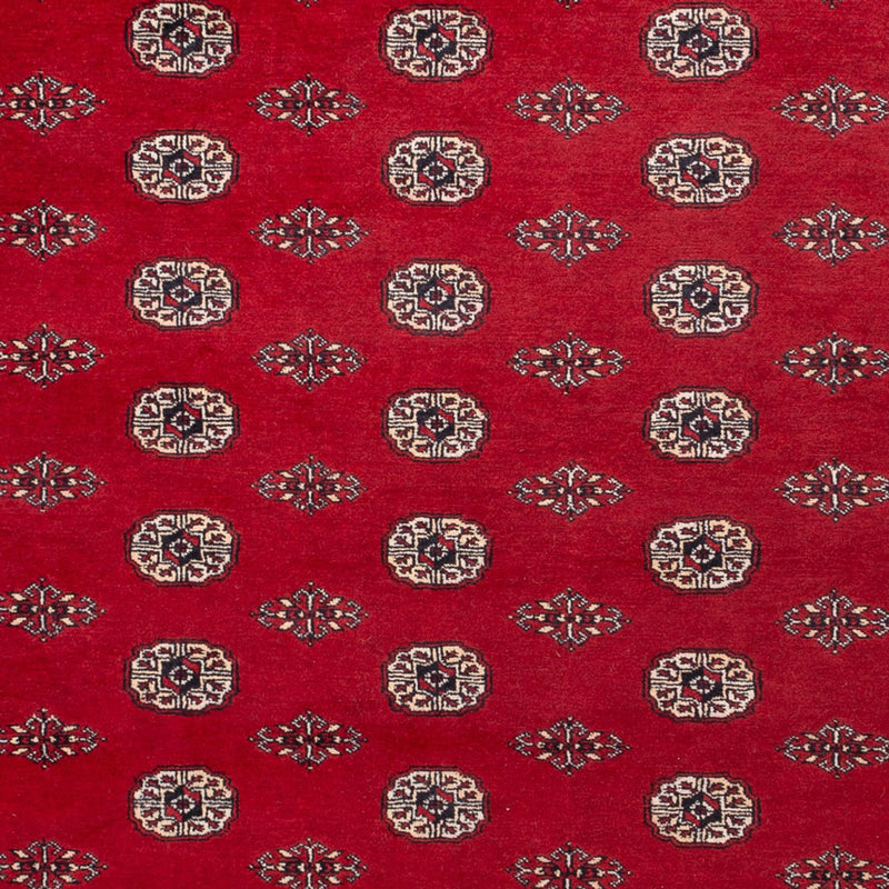Bukhara Teppe 323x248cm - Orientalsk teppe